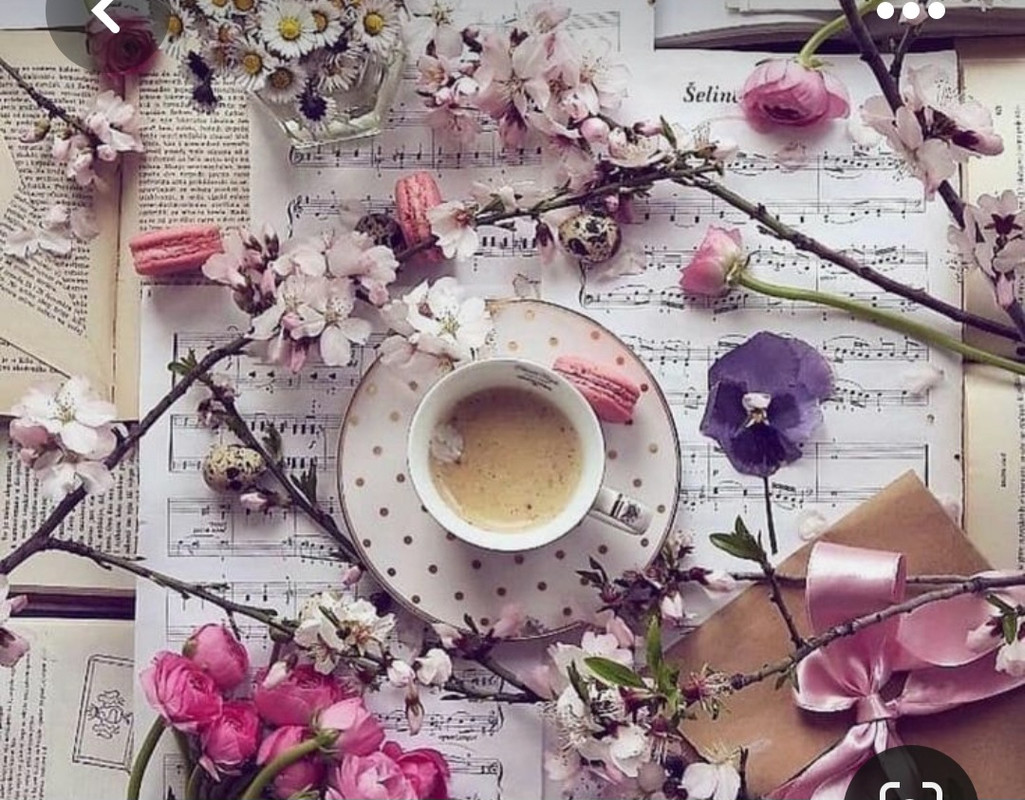 Screenshot_20230309_235023_Pinterest