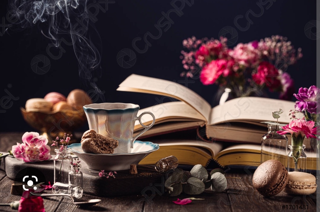 Screenshot_20221124-084117_Chrome