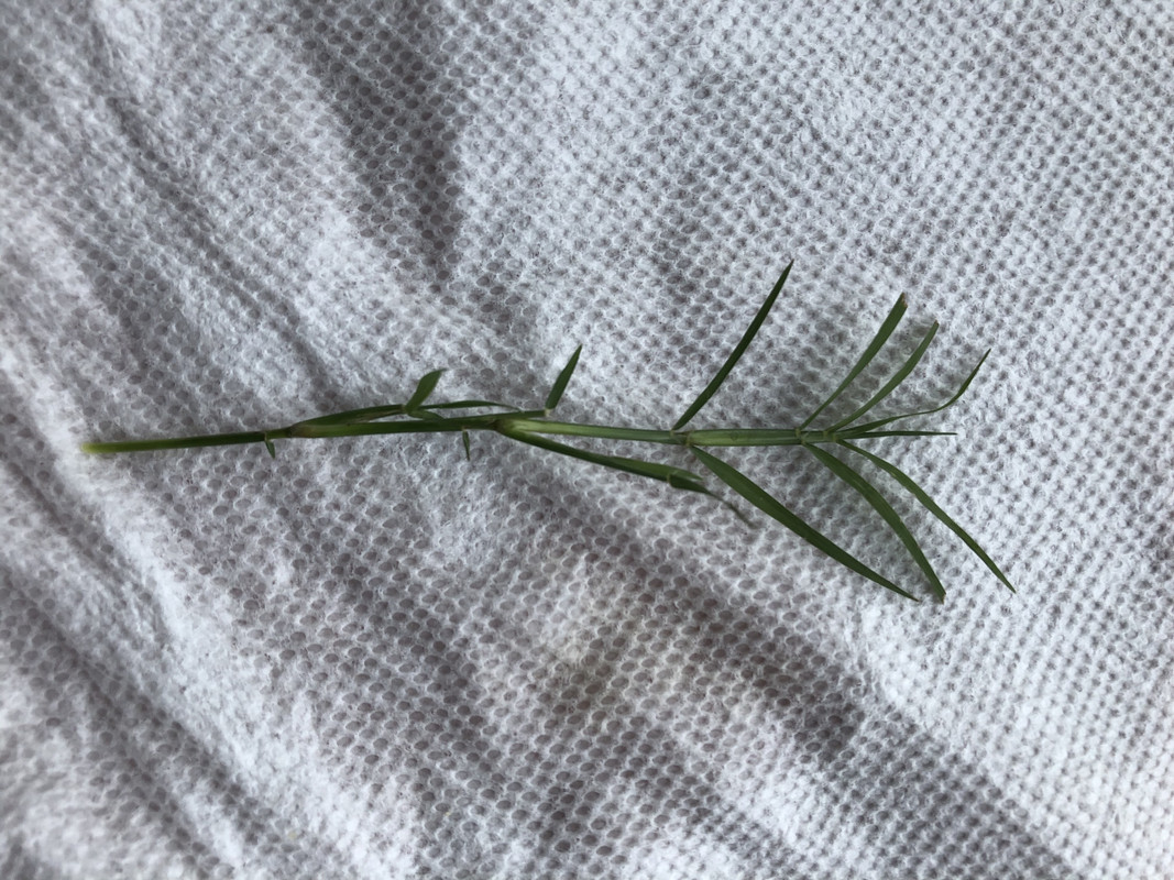 7343C298-F91E-4588-A82F-7BB08E6F26CF