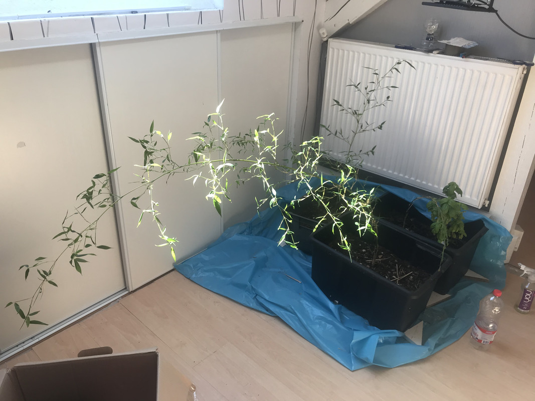 14DCE1BA-22A7-435C-8508-4DF93C729D27