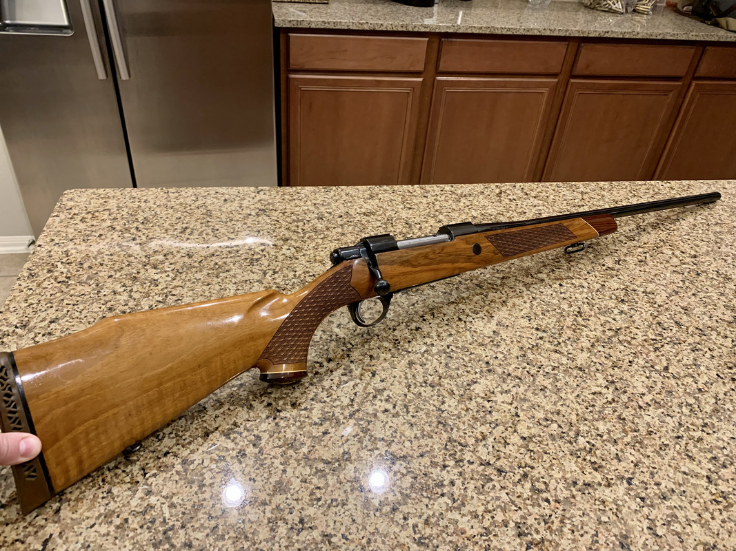 ED6E7336-00FB-4A12-ABA7-5213C4764B08