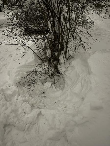 IMG 4790