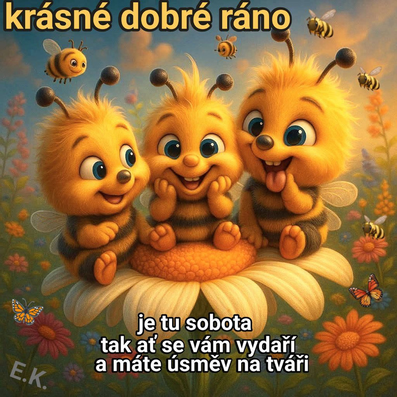 658877346-910804455277172-717042069026054229-n