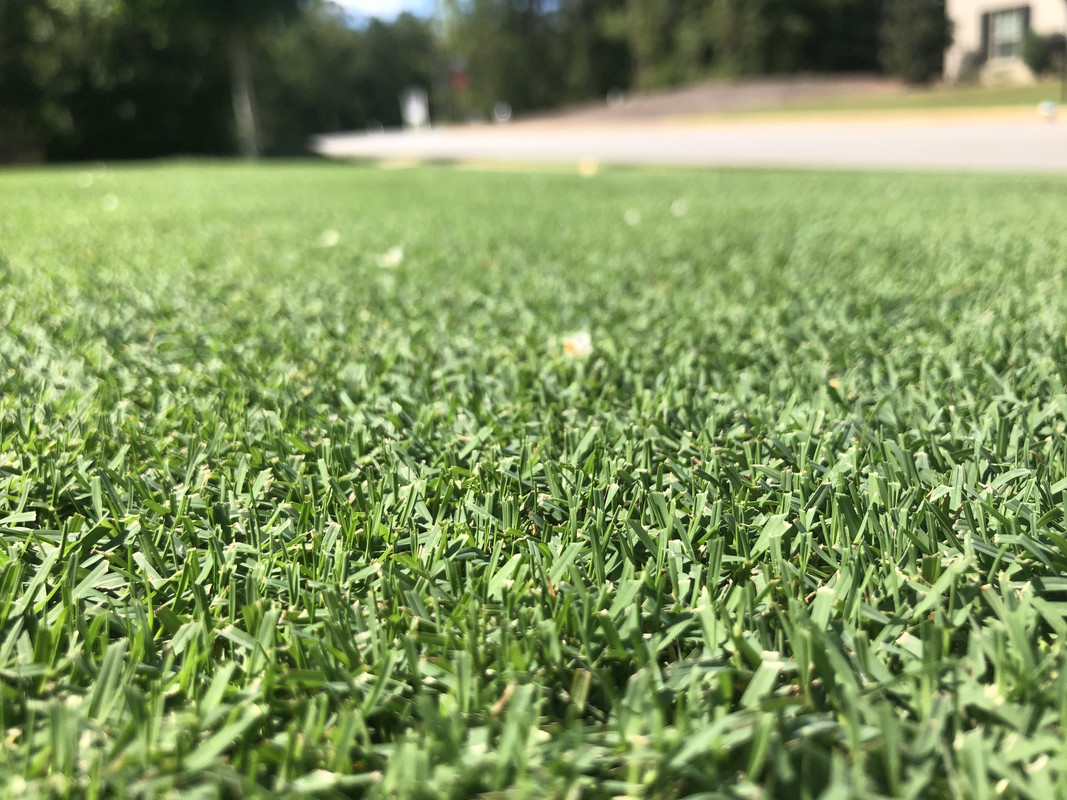 A12858EA-4253-475F-BB5B-BAC98E0DCCA2