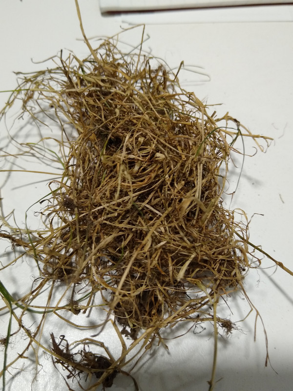 IMG_20210804_163037115