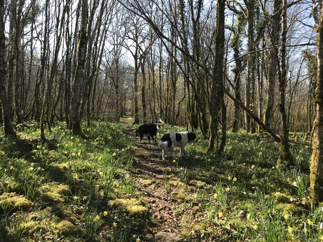 9BAD29D2-B077-4653-A7D6-A2B3EEA688B5