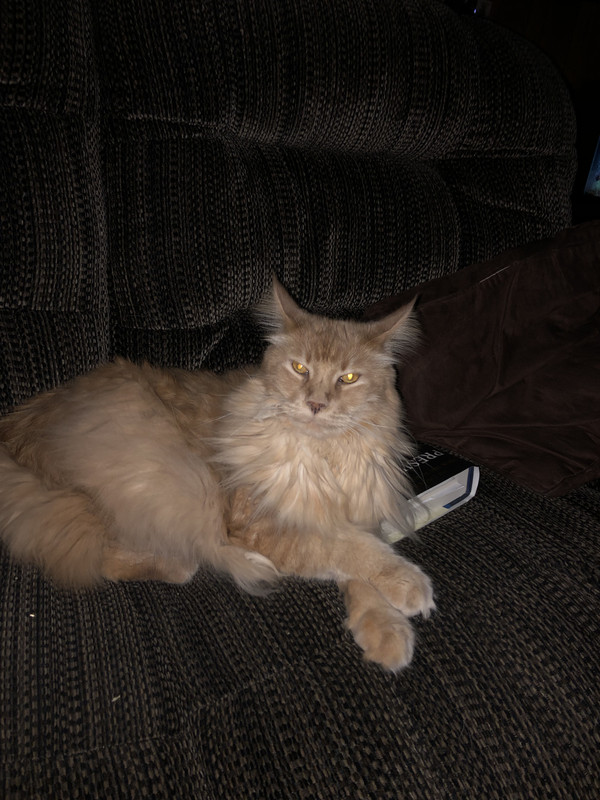 E61A2FFD-888D-4E1D-9E76-42D7226EFF95