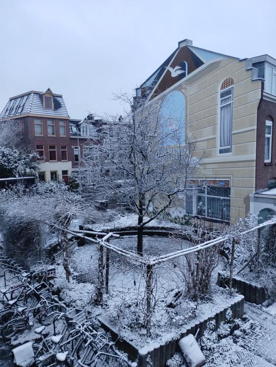 IMG 20260129 085305995