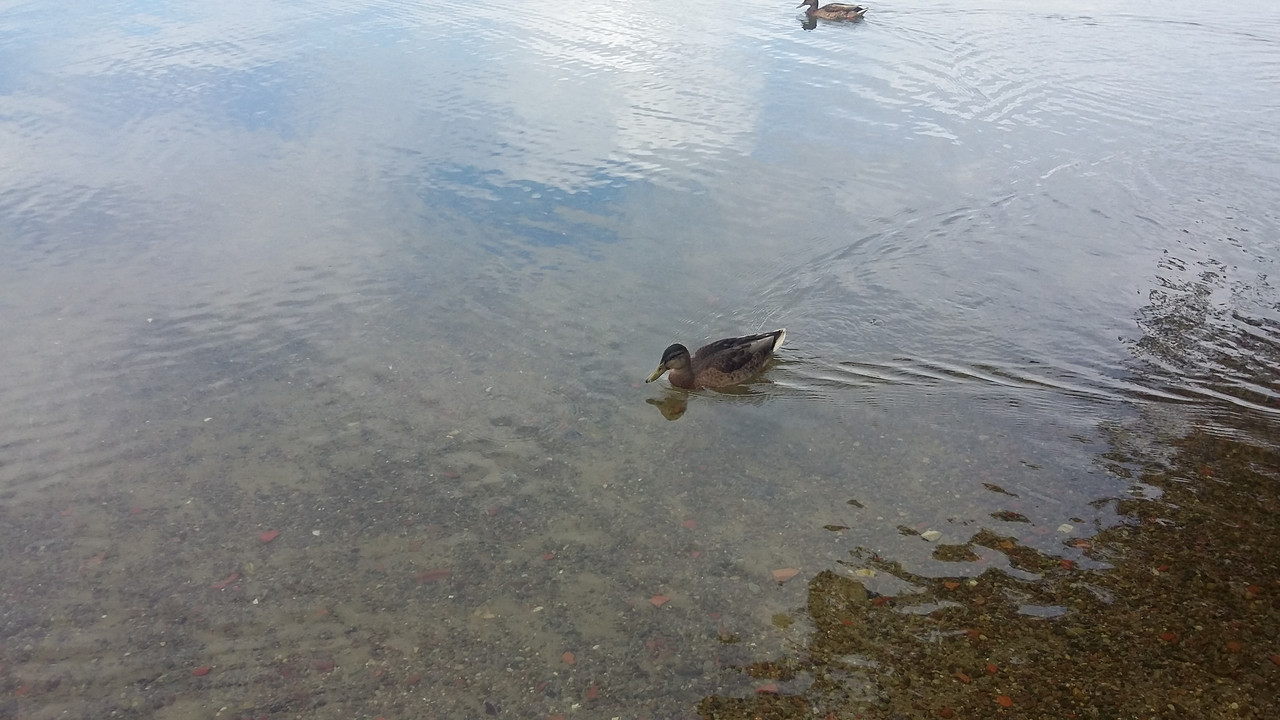 0475 - 20170722_110859