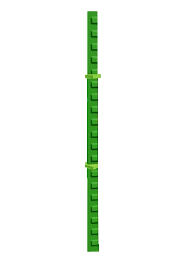 Bamboo