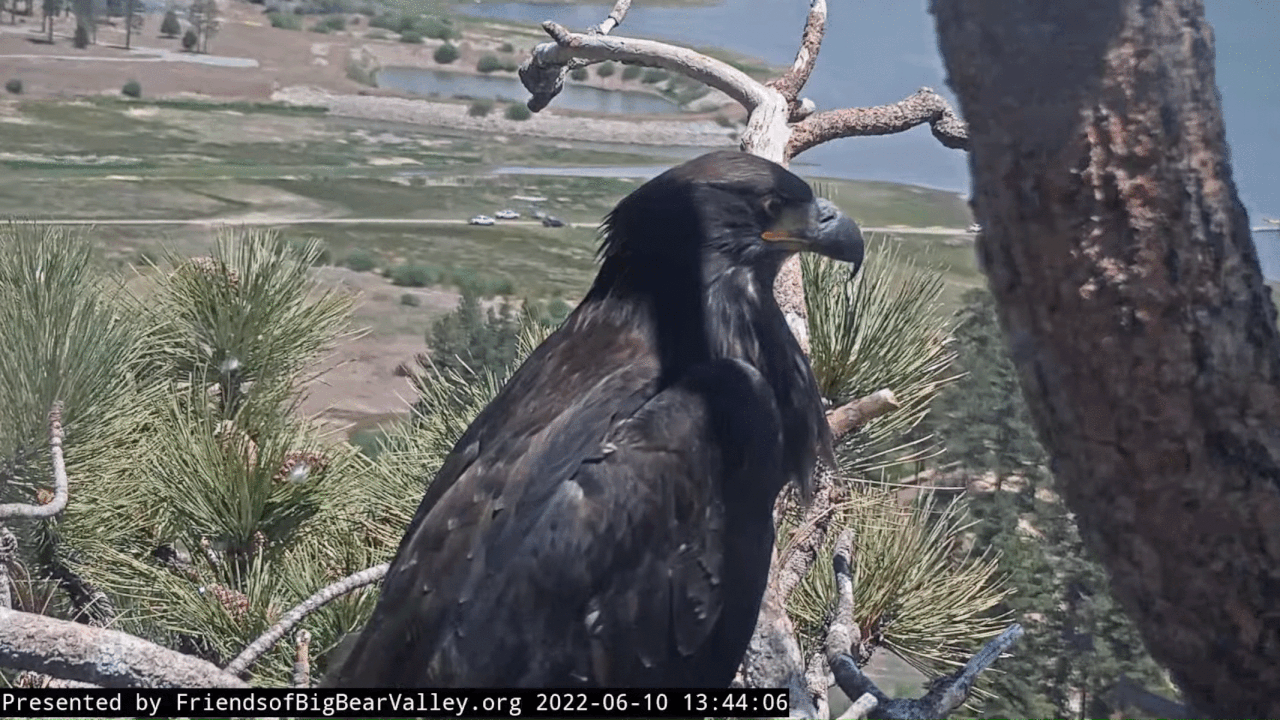 Webp.net-gifmaker (13)