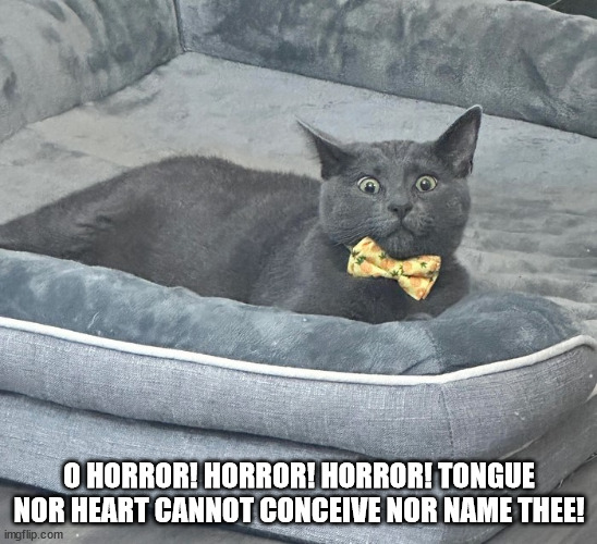 cat-macduff.jpg