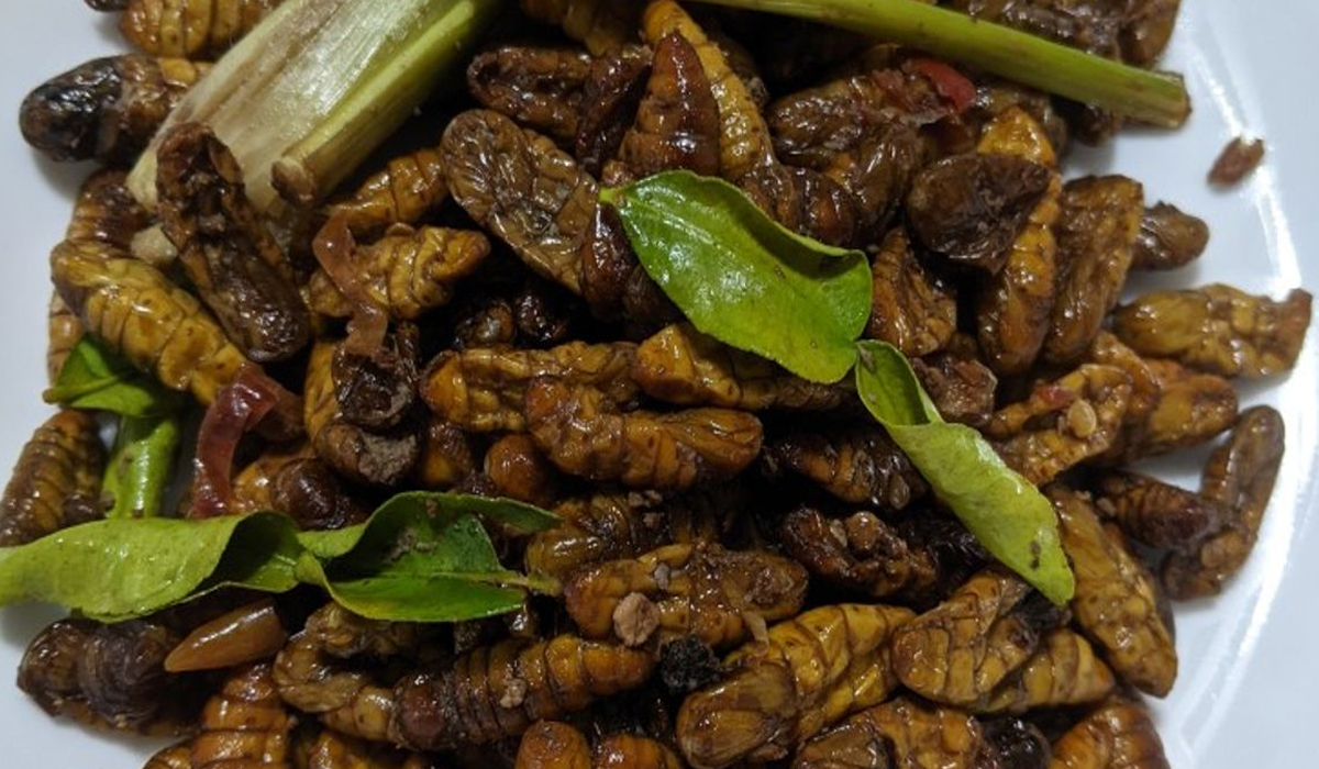 Kandungan Gizi dan Manfaat Kesehatan