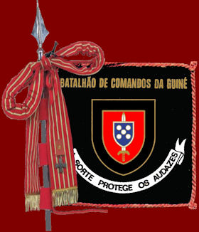 BCmds-Guine-vm