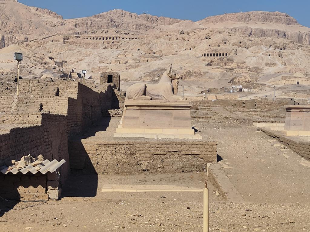 Ленивый Египет (Хургада, Луксор, Каир), декабрь 2025 - январь 2026