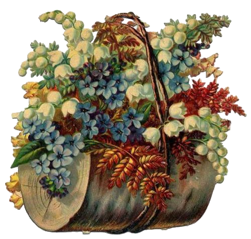 imageedit-1-3261225245