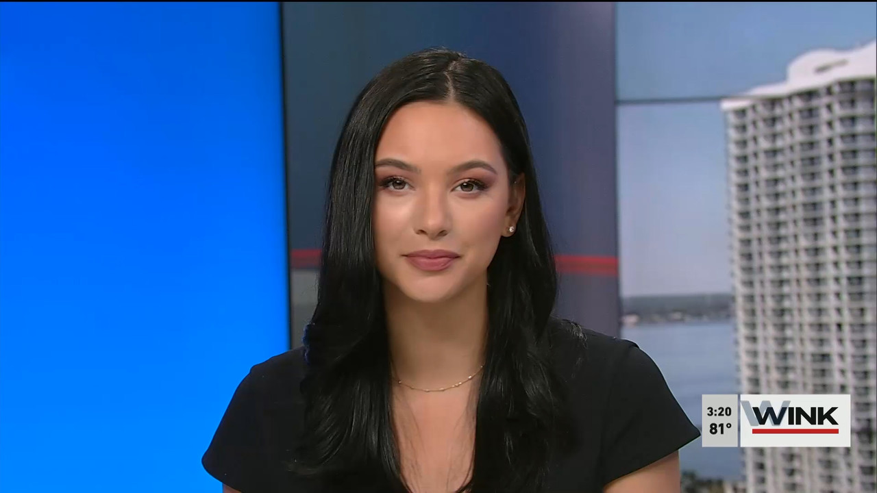 03.21 - 19.00.00 - WINK News at 3pm  ᴺᵉʷ..ts_snapshot_00.26.55.623