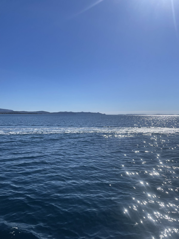 90E24847-FF63-4B0E-BED4-0AD81C7AC49A