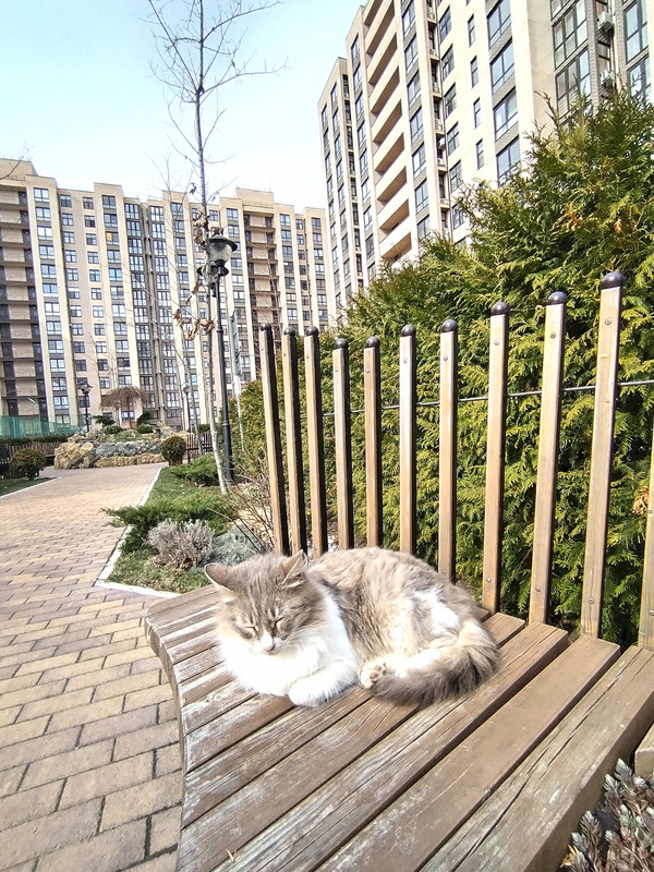 IMG_20230316_143220_edit_78885600285479