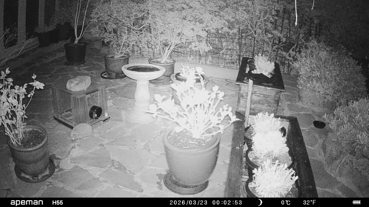 patio 23 3