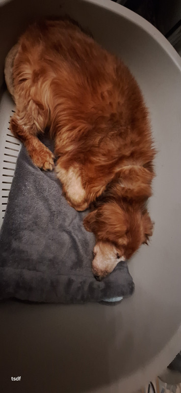 [Image: 20250209-195646.jpg]