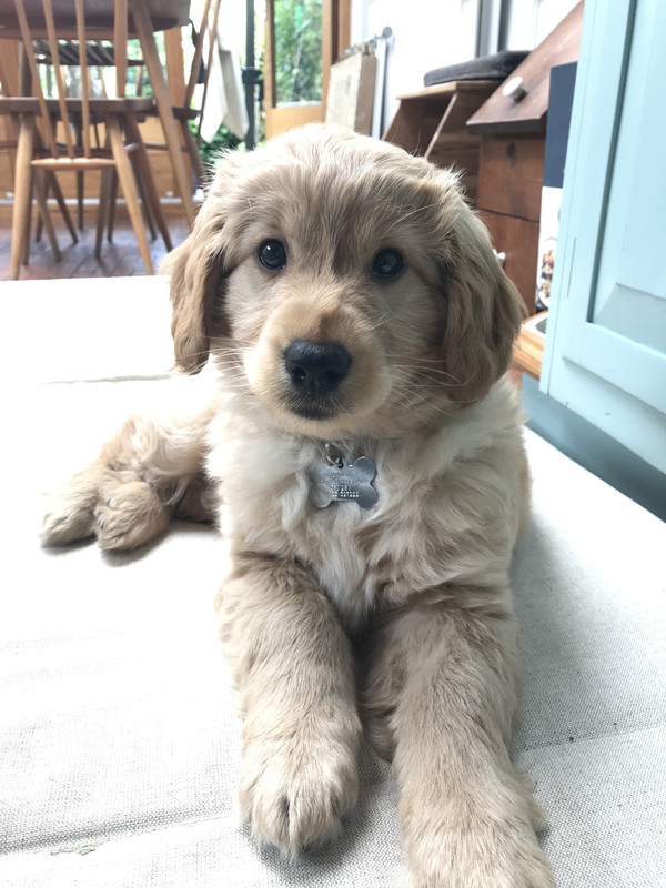 CD834BA7-B426-4B33-wa88B0-143FE208536A