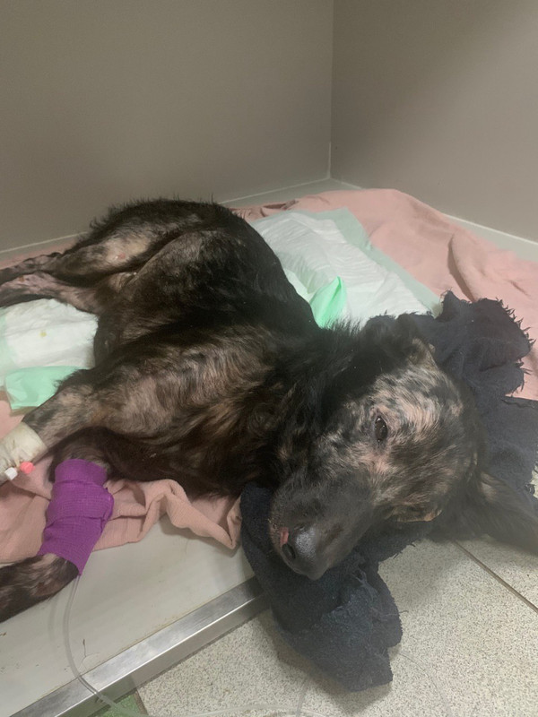 DBDB9C48-60D8-4CFD-93D3-79FD6F4FFD5D