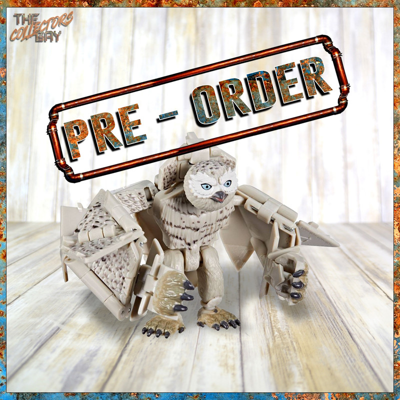 314054567_526125159525116_6768112092172955380_n