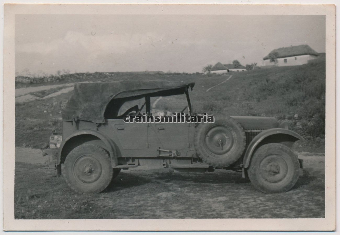 Orig. Foto Hund in Kübelwagen Stoewer M12 Pkw in