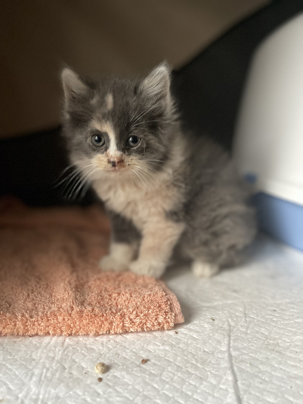 2ED2EA08-8F27-4F01-BF0D-D70792E724E9