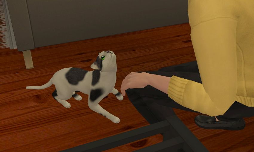 Sims2-EP9-2021-01-10-18-48-12-69
