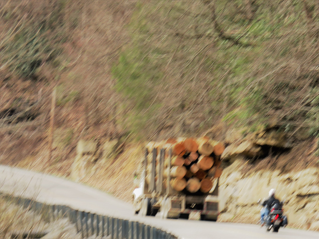 FA9AF241-F554-4F2D-B806-488FD81B6B95