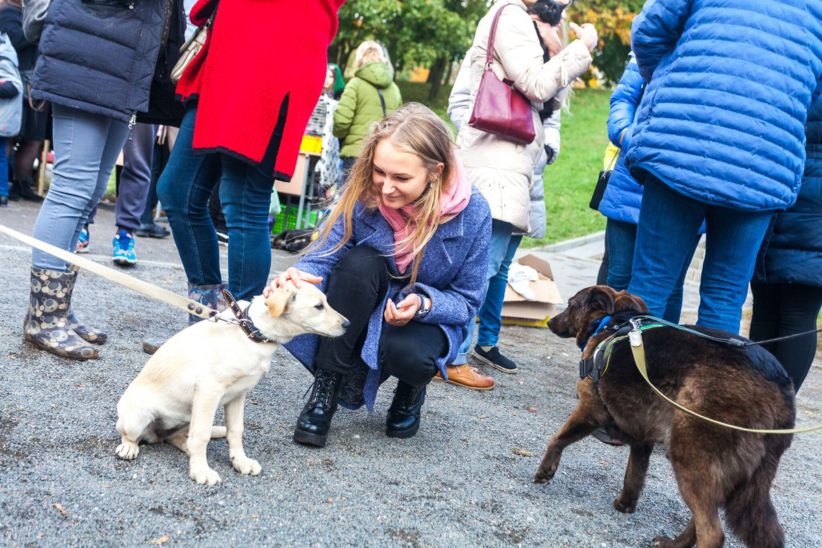 21DDC8A6-BCBB-4BF0-97F3-2D95B3C1D03C