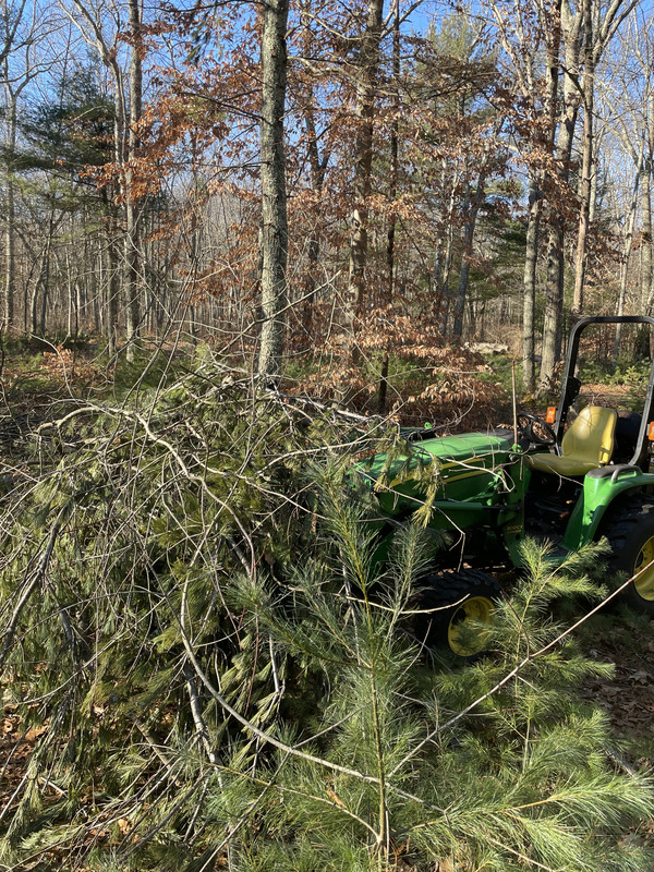 C110F56C-29C1-4D66-AF90-4D83BF8EDAFE