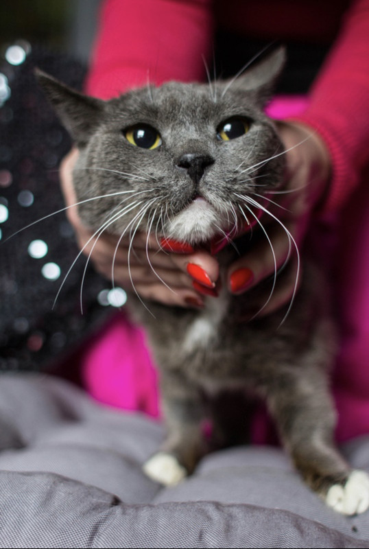 0505C322-AF7A-484A-883D-261EF690C195