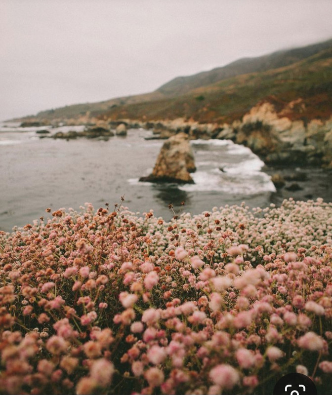 Screenshot_20231024_190138_Pinterest