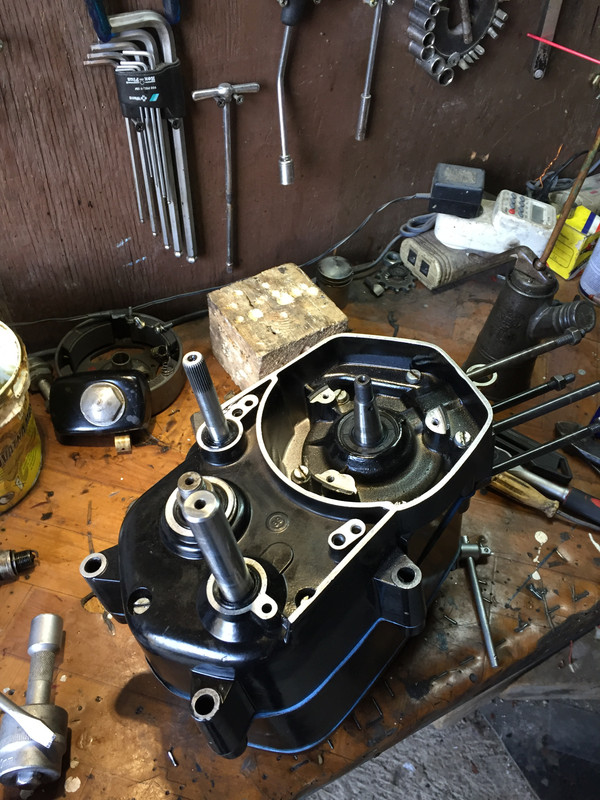 CE3C4865-6D3D-485E-A3AB-6F6AA8650C06