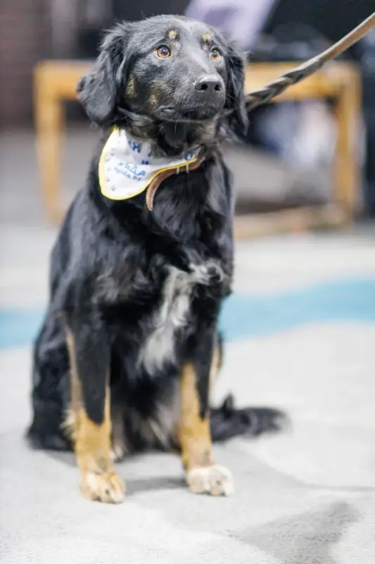 hsHtI53zURNOFNG5ZWOiPfXNDf52ZwF-Rm2FtgjJVqQLLv0RvpGMFhfMdK_CoLnp4LQcvBj40YhITiWC18fRuQ==?uid=0&filen