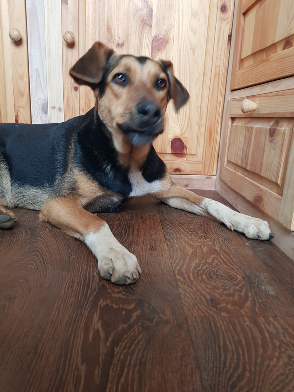 IMG-d2f1717cae479be4a41c4da5bd9d496e-V