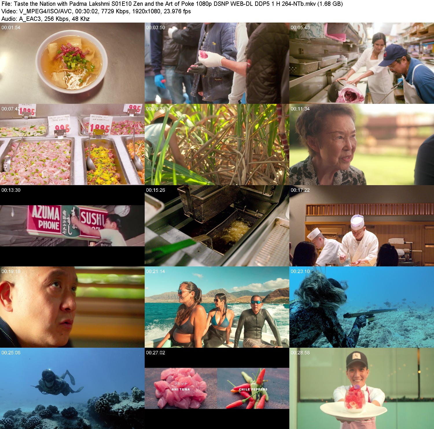 [Image: vdby2274wwcj.jpg]