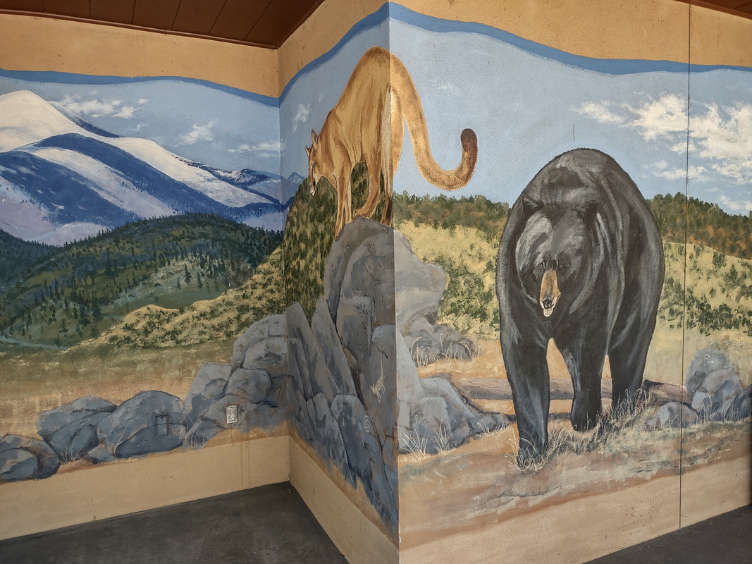 IMG_20250607_104558498_HDR