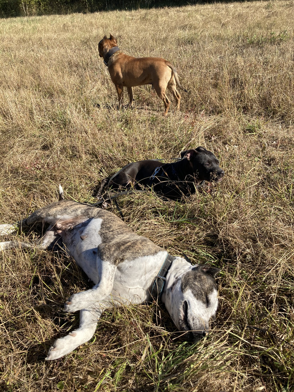 FEFAD80A-B578-4508-B515-2B6192584D5D