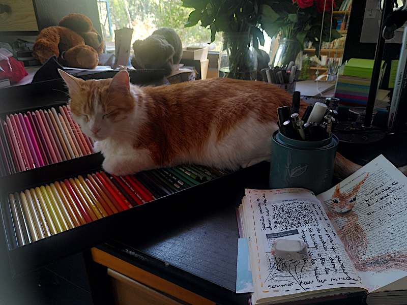Chat endormi sur ma boite de crayons de couleurs en équilibre