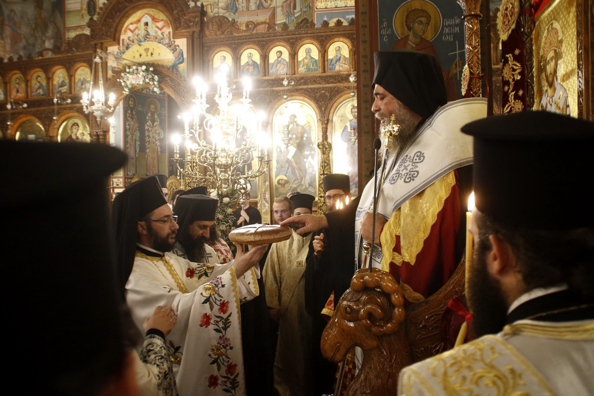 _7D22006 (Αντιγραφή)