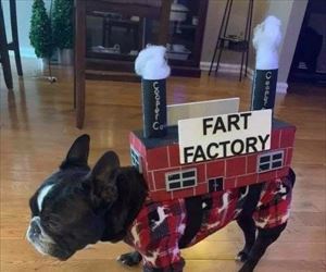 fart-factory-th.jpg