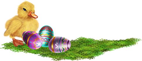 KBK_PrettyRabbit (134)