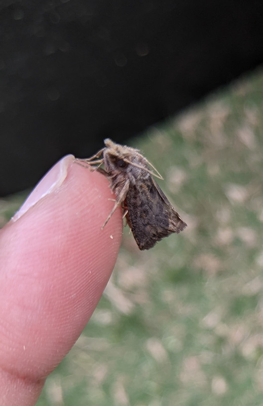 PXL_20200823_214253644.MP