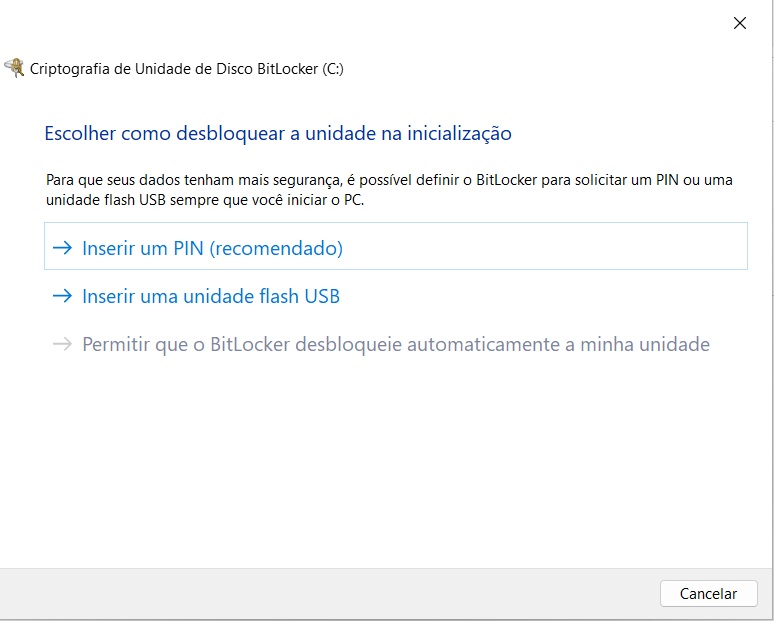 GERENCIAMENTO BITLOCKER PAINEL DE CONTROLE - APOS DAR CERTO APARECE COMO ESCOLHER PARARA DESBLOQUEAR