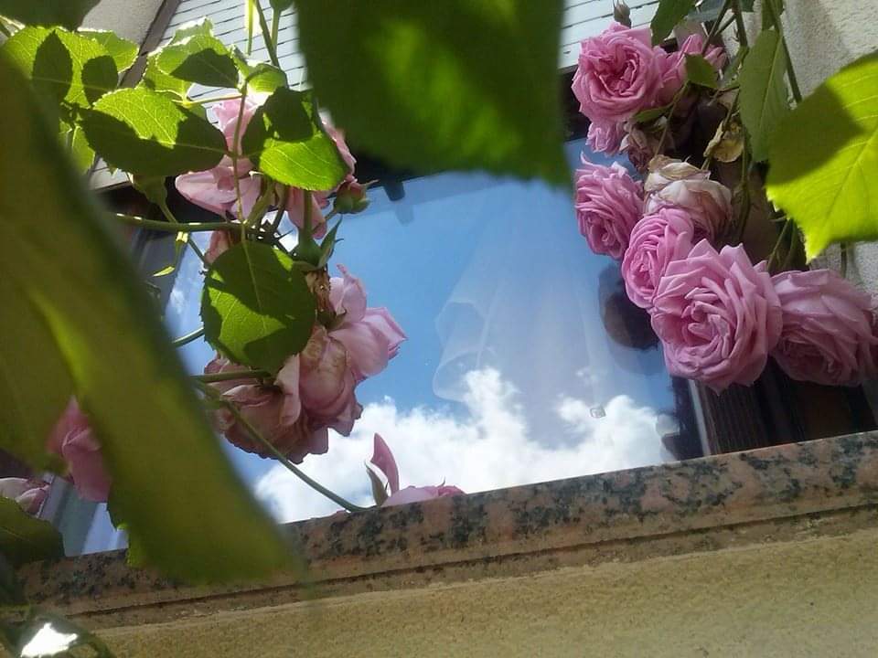 FB-IMG-1716610833464