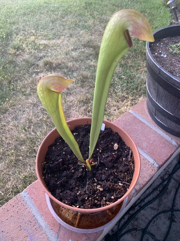 D2BE82DD-E9E9-4815-9BC0-2C122D808DA6